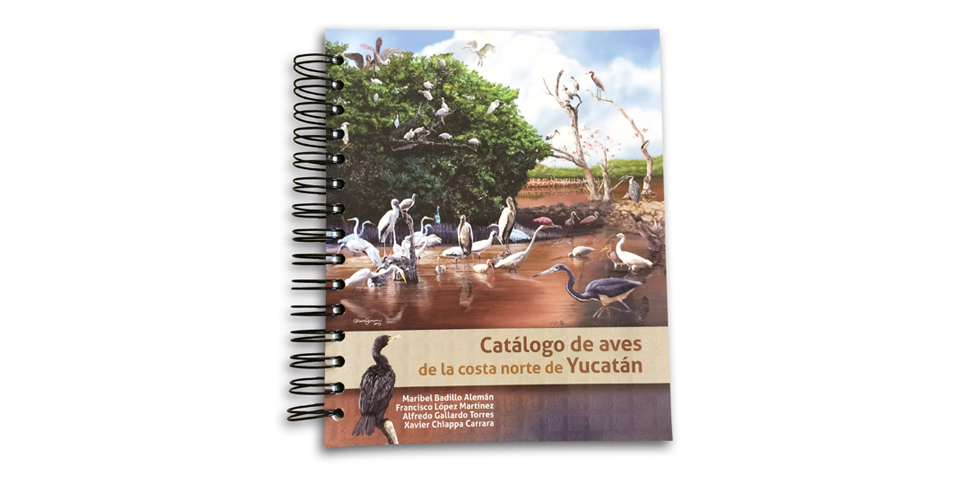 Catálogo De Aves De La Costa Norte De Yucatán