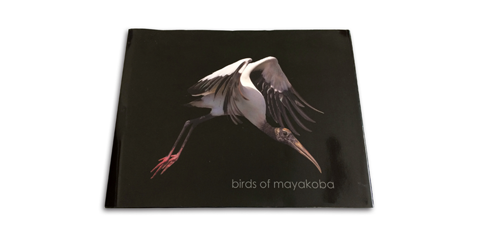 Birds Of Mayakoba